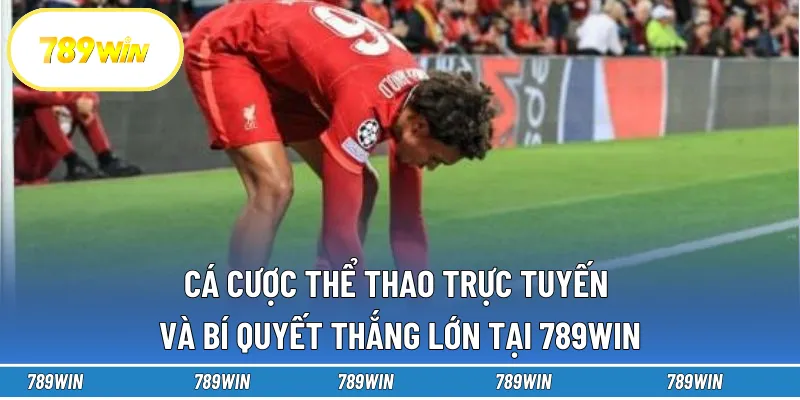Cá Cược Thể Thao Trực Tuyến Và Bí Quyết Thắng Lớn Tại 789win